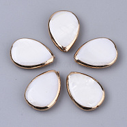 Edge Golden Plated Freshwater Shell Beads, for DIY Craft Jewelry Making, Teardrop, Seashell Color, 18x13x4mm, Hole: 0.8mm(SHEL-S276-46)
