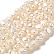 Natural Cultured Freshwater Pearl Beads Strands, Two Sides Polished, Grade 5A, PapayaWhip, 5x5~6x3.5~4mm, Hole: 0.6mm, about 69~70pcs/strand, 13.58 inch(34.5cm)(PEAR-E017-01)