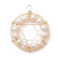 Natural Cultured Freshwater Pearl Round Beaded Ring Pendants, Copper Wire Wrapped Star of David Charms, Golden, 37x29.5x6.5mm, Hole: 4mm(PALLOY-JF02617-01)