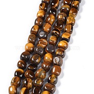 Natural Tiger Eye Beads Strands, Nuggets Tumbled Stone, 6.5~15x7~14x7~14mm, Hole: 1~1.4mm, about 32~33pcs/strand, 15.16~ 15.75 inch(38.5~40cm)(G-C038-02K)