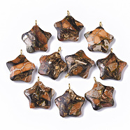Assembled Synthetic Imperial Jasper and Bronzite Pendants, with Golden Tone Iron Loop, Dyed, Star, Chocolate, 23~24x21x5mm, Hole: 2mm(G-S366-002A)