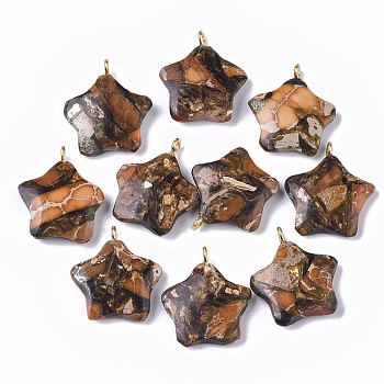 Assembled Synthetic Imperial Jasper and Bronzite Pendants, with Golden Tone Iron Loop, Dyed, Star, Chocolate, 23~24x21x5mm, Hole: 2mm