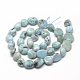 Natural Larimar Beads Strands(G-R445-8x10-15)-2