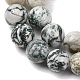 Natural Tree Agate Beads Strands(G-T150-A09-12mm)-3