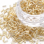 Plated Glass Bugle Beads, Metallic Colours, Pale Goldenrod, 4x2mm, Hole: 1mm, about 14000pcs/Pound(SEED-S046-01A-22)