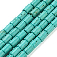 Synthetic Turquoise Beads Strands, Dyed, Column, Light Sea Green, 6x4mm, Hole: 1mm, about 64pcs/strand, 15.5 inch(X-TURQ-G120-4x6mm-13)