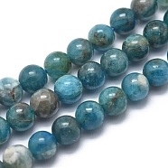Natural Apatite Beads Strands, Grade AB, Round, 6mm, Hole: 1mm, about 68pcs/strand, 14.9 inch(38cm)(G-I254-08B)