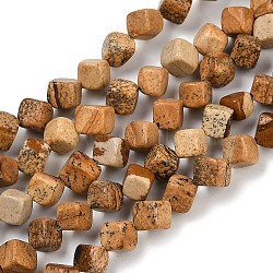 Natural Picture Jasper Beads Strands, Cube, 7.5~8.5x6.5~8.5x5.5~6.5mm, Hole: 0.7mm, about 52~56pcs/strand, 15.16~15.87''(38.5~40.3cm)(G-A257-A21-01)