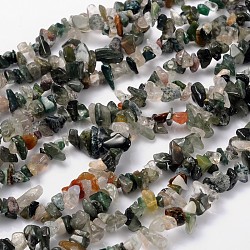 Natural Indian Agate Beads Strands, Chips, 5~8mm, Hole: 0.3mm, 33 inch(F066)