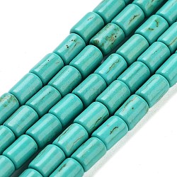 Synthetic Turquoise Beads Strands, Dyed, Column, Light Sea Green, 6x4mm, Hole: 1mm, about 64pcs/strand, 15.5 inch(X-TURQ-G120-4x6mm-13)