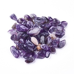 Natural Amethyst Beads, Undrilled/No Hole, Chips, 6~17x4~9x2~6mm, about 100g/bag(G-I221-28)