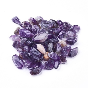 Natural Amethyst Beads, Undrilled/No Hole, Chips, 6~17x4~9x2~6mm, about 100g/bag