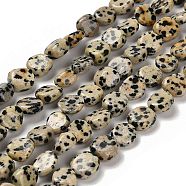 Natural Dalmatian Jasper Beads Strands, Nuggets, Tumbled Stone, 7~13x4.5~10x4.5~10mm, Hole: 1.2mm, about 44~46pcs/strand, 15.08~16.14 inch(38.3~41cm)(G-P497-01E-80)