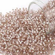 TOHO Round Seed Beads, Japanese Seed Beads, (31F) Silver Lined Frosted Rosaline, 11/0, 2.2mm, Hole: 0.8mm, about 1110pcs/bottle, 10g/bottle(SEED-JPTR11-0031F)