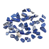 Natural Lapis Lazuli Beads, No Hole/Undrilled, Chip, 8.5~23.5x7~8x2~7mm, about 704pcs/500g(G-I304-02)