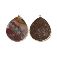 Natural Indian Agate Pendants, with Brass Findings, Teardrop, Golden, Undyed, 41~41.5x32x2mm, Hole: 1.5mm(G-E526-01Z)