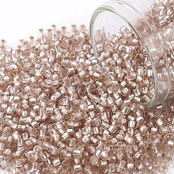 TOHO Round Seed Beads, Japanese Seed Beads, (31F) Silver Lined Frosted Rosaline, 11/0, 2.2mm, Hole: 0.8mm, about 1110pcs/bottle, 10g/bottle(SEED-JPTR11-0031F)