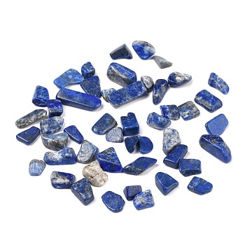 Natural Lapis Lazuli Beads, No Hole/Undrilled, Chip, 8.5~23.5x7~8x2~7mm, about 704pcs/500g