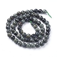 Natural Kambaba Jasper Beads Strands, Faceted, Round, 6mm, Hole: 1mm, about 63~64pcs/strand, 14.96  inch~15.35 inch(38~39cm)(G-P430-11-B)