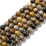 Natural Bumblebee Jasper Beads Strands, Round, 10mm, Hole: 1mm, about 40pcs/strand, 15.55''(39.5cm)(G-F691-02C)