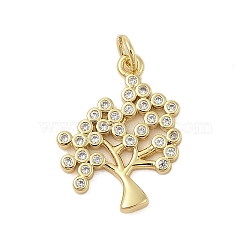 Tree of Life Rack Plating Brass Micro Pave Cubic Zirconia Pendants, Long-Lasting Plated, Lead Free & Cadmium Free, Real 18K Gold Plated, 21x16x2mm, Hole: 3mm(KK-Z074-40G)