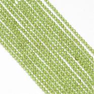 Natural Peridot Bead Strands, Faceted, Round, 2mm, Hole: 0.5mm; about 170~180pcs/strand, 12.9inches~13.3inches(330~340mm)(G-G914-2mm-15)