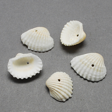 FloralWhite Shell Other Sea Shell Charms