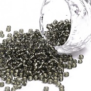 (Repacking Service Available) 8/0  Glass Seed Beads, Silver Lined Round Hole, Round, LiGoht Gorey, 3mm, Hole: 1mm, about 12G/bag(SEED-C014-3mm-52)