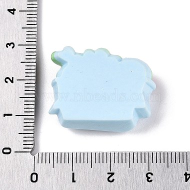 Supermarket Theme Opaque Resin Decoden Cabochons(RESI-N039-115B)-3