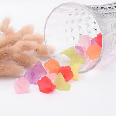 perles fleurs acrylique transparent mixtes(X-PL551M)-4