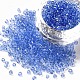 Glass Seed Beads(SEED-A004-3mm-6)-1