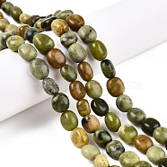 Natural TaiWan Jade Beads Strands, Cuboid, 8.5~12x7~10x6~8mm, Hole: 1mm, about 36pcs/strand, 15.94''(40.5cm)(G-T138-91)