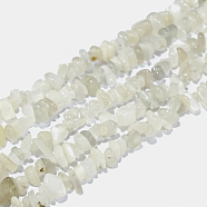 Natural White Moonstone Chip Beads Strands, 4~14x4~12mm, Hole: 1mm, about 15.3 inch~16.1 inch(G-E271-112)