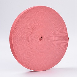 Colored Flat Elastic Rubber Band, Webbing Garment Sewing Accessories, Salmon, 25mm, about 43.74 yards(40m)/roll(EC-WH0002-24)