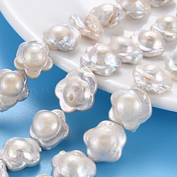 Natural Keshi Pearl Beads Strands, Cultured Freshwater Pearl, Flower, Seashell Color, 14~19x15~17x7~8mm, Hole: 0.6mm, about 24~25pcs/strand, 14.96~15.35 inch(38~39cm)(PEAR-S020-A01)