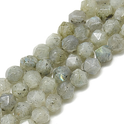 Natural Labradorite Beads Strands, Faceted, Round, 6~6.5x5.5~6x5.5~6mm, Hole: 1mm, about 61pcs/14.3 inch(G-S300-100-6mm)