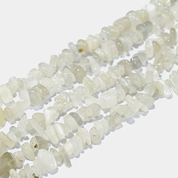Natural White Moonstone Chip Beads Strands, 4~14x4~12mm, Hole: 1mm, about 15.3 inch~16.1 inch(G-E271-112)