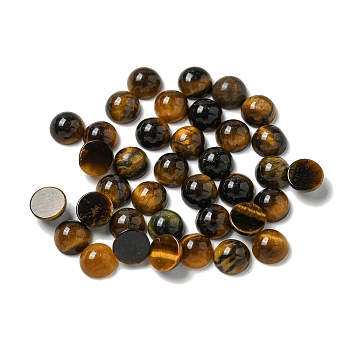 Natural Tiger Eye Cabochons, Half Round, 5x2.5mm