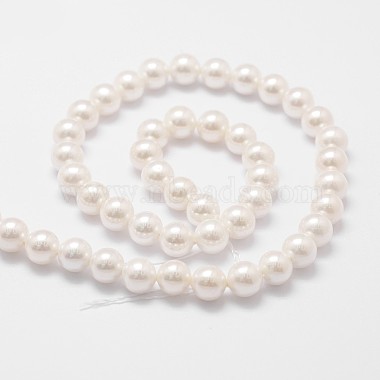 Rainbow Plated Shell Pearl Bead Strands(X-BSHE-L025-02-10mm)-2