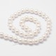 Rainbow Plated Shell Pearl Bead Strands(X-BSHE-L025-02-10mm)-2