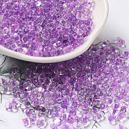 Glass Seed Beads, Peanut, Violet, 5.5~6x3~3.5x3mm, Hole: 1~1.2mm(SEED-K009-08A-14)