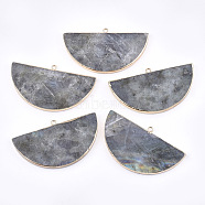 Electroplate Natural Labradorite Big Pendants, with Iron Findings, Semicircle, Golden, 34~35x60~62x4~5mm, Hole: 2mm(G-T112-11A)