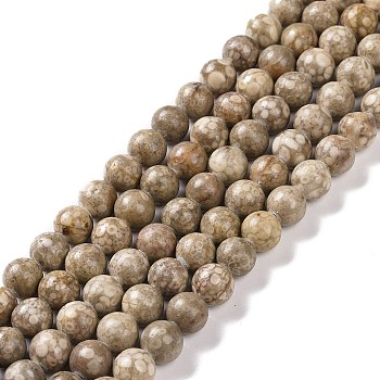 Natural Maifanite/Maifan Stone Beads Strands, Round, 6mm, Hole: 1mm, about 62pcs/strand, 15.1 inch(38.4cm)