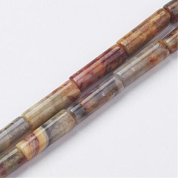Natural Crazy Lace Agate Bead Strands, Tube, 13~14x3.5~5mm, Hole: 1mm, about 29pcs/strand, 15.1~15.7 inch(385~400mm)