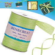 BENECREAT 1 Roll Raffia Paper Cords for DIY Jewelry Making, Paper Twine, Lime, 1/4 inch(8mm), 300m/roll, 1roll/set(OCOR-BC0001-54E)