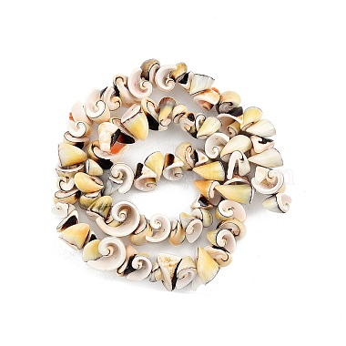 Natural Spiral Shell Beads Strands(SSHEL-G024-02)-2