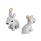 Alloy Enamel Pendants(AL-CBAC5EF-03G-02)-2