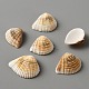 Natural Shell Decorations(SHEL-WH0002-05A)-1
