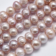 Natural Cultured Freshwater Pearl Beads Strands, Potato, Dark Orchid, 9~11x8~9mm, Hole: 0.8mm, about 41~43pcs/strand, 14 inch(35.5cm)(PEAR-F007-06B-01)