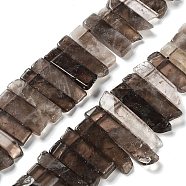 Natural Smoky Quartz Beads Strands, Top Drilled Beads, Rectangle, 24~62x8~14x4~9mm, Hole: 1.8mm, about 34~39pcs/strand, 15.04''~15.51''(38.2~39.4cm)(G-L551B-13)